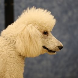 photograph by PeterW